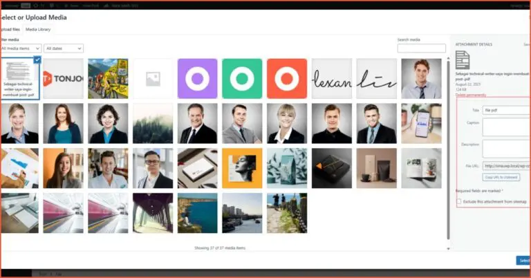 How to Display PDF Files in WordPress - without plugin - 3