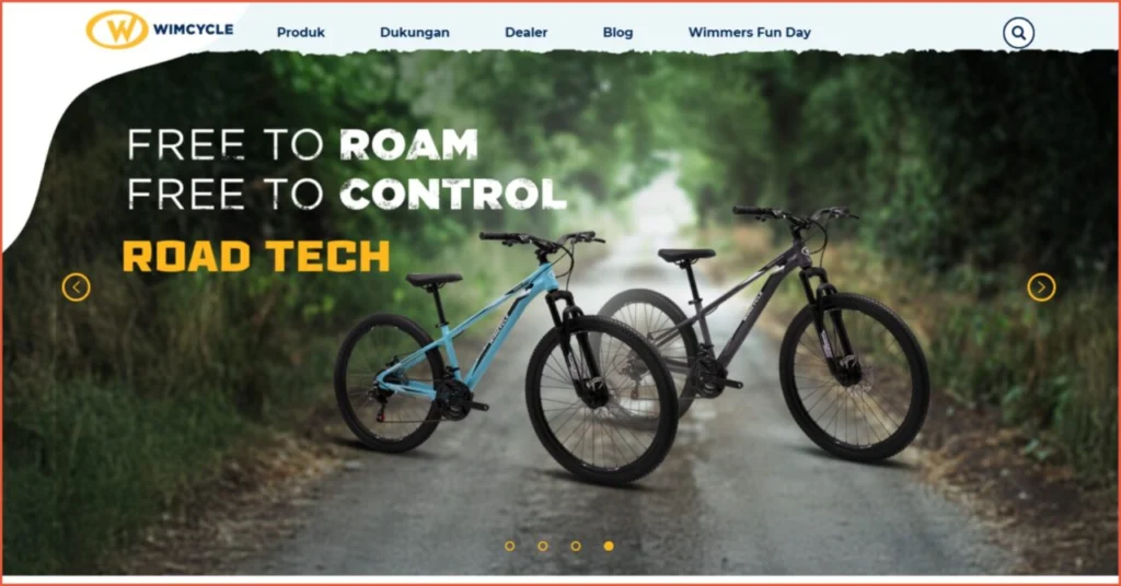 Ecommerce Website Examples